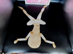 cardboard doll 22 bk
